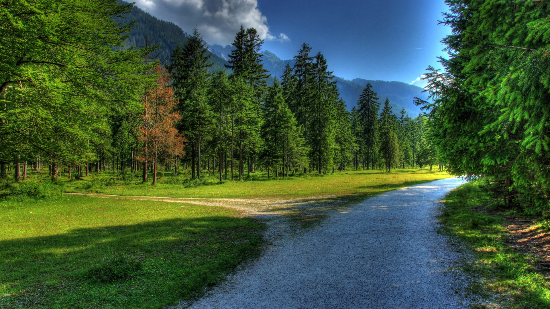 模板巴巴-企业模板开发平台